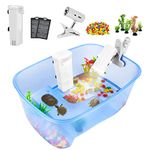 Rypet Baby Turtle Aquarium Tank Starter/ Accessories Kit - Reptile Terrariums Tortoise Habitat with UV Basking Light Lamp, Water Filter, Rocks, Small Plants for Frog Hermit Crab