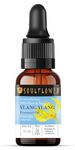 Soulflower Ylang Essential Oil for Strengthen Hair Roots, Control Hair Fall, Skin Moisture, Controls Acne, Aromatherapy - 100% Pure, Natural & Undiluted Premium Essential Oil, 15ml