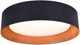 Bargeni Flush Mount Ceiling Light,1