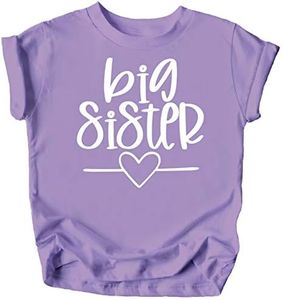 Olive Loves Apple Big Sister Heart Sibling Reveal T-Shirt for Baby and Toddler Girls Sibling Outfits, Purple Shirt, 2T