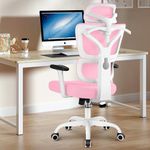 Winrise Office Chair, Ergonomic Desk Chair High Back Gaming Chair, Big and Tall Reclining Chair Comfy Home Office Desk Chair Lumbar Support Breathable Mesh Computer Chair Adjustable Armrests (Pink)