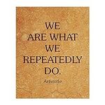 We Are What We Repeatedly Do - Aris
