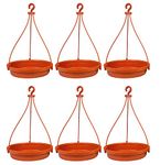 Deskart Bird Water Feeder for Hanging Balcony and Window Bird Water Bowl Plastic Dish for Sparrow, Hummingbird, Kingfisher, Pigeon and Other for Birds (Orange - 6 Piece)