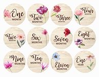 SVM CRAFT Baby Monthly Milestone Cards 12 Pcs Wooden Baby Milestone Cards Boho Rainbow Front Sided Printed Milestone Discs Wood Gift Photo Prop Discs Sets Birth Announcement Sign Newborn Photo Props