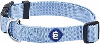 Blueberry Pet Essentials Matching S