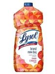 Lysol Multi-Surface Cleaner, Day Ma