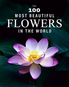 The 100 Most Beautiful Flowers in the World: A minimalist picture book for kids or seniors with alzheimer's or dementia (The "Most Beautiful World" Series)