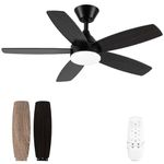 Kayleik Black Ceiling Fan with Light, 42 Inch Low Profile Ceiling Fan with Remote Control, Double-Sided Blade, Reversible DC Motor, Indoor/Outdoor Modern Ceiling Fan for Living Room Kitchen Bedroom