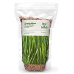 Organic Wheat Grass Seeds, Cat Grass Seeds, 16 Ounces- 100% Organic Non GMO - Hard Red Wheat. Harvested in The US. Easy to Grow.