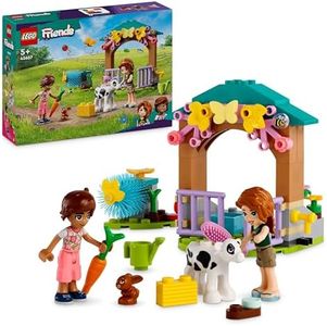 LEGO Frien