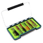 Fly Fishing Flies Assortment Kit Dry Wet Nyphms Tenkara Popper Streamer Woolly Bugger for Trout Bass Salmon Steelhead with Fly Box (60PCS BH-Nymphs Set)