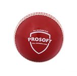 SG Cricket Balls PROSOFT(Red)*