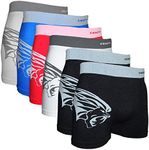 Crazy Cool Seamless Fun Boxer Briefs Boyshorts Women Men Underwear 6-Pack (Medium/Large, Lion-6Pack)