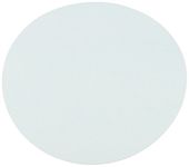 Omicron 170047R Nylon Membrane Filters, 0.2 μm, 47 mm (Pack of 100)