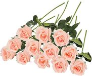 Grand Verde Roses Real-Touch Artificial Flowers Latex Full Blossom Faux Heads Dozen 22” Tall Stems Fake Bouquet Luxury Home Décor Indoor Living Room Bedroom Love Gift, 12 PCS Bundle (Blush Peach)