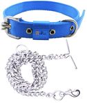 RvPaws Dog Belt Combo of 1 Inch Nylon Collar with Heavy Dog Chain 63 Inch Lengthy Dog Collar Chain Adjustable (Collar Neck Size 16-20 Inch) (Blue)