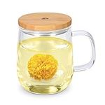 Navaris Tea Mug with Infuser and Bamboo Lid - 500ml Borosilicate Glass Tea Cup with Glass Strainer for Brewing Loose Leaf Tea in Home or Office