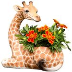 Bits and Pieces - Indoor/Outdoor Giraffe Planter - Wildlife Animal Urn for Plants - Durable Polyresin Safari Inspired Décor