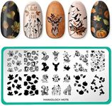 Maniology Autumn Nail Stamping Plate (Cozy Campsite)