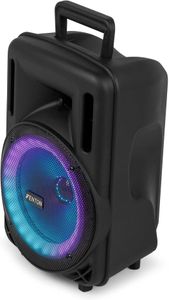 Fenton 15-Inch Bluetooth PA Speaker – Portable Wireless Audio System