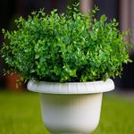 Artificial Plants Outdoor Fake Boxwood Shrubs - 16 Bundles Artificial Greenery Stems UV Resistant No Fade Faux Plastic Flowers for Vases Farmhouse Garden Porch Patio Decoration Indoor Wedding (Green)