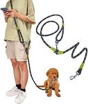 pawstrip Hands Free Dog Leash Waist