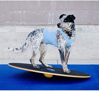 FitPAWS Wo