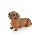 NEWDREAM The Dachshund Memorial Statue, Dog Memorial Placed in Indoor Decorations, Pet Tombstone Dogs Dog Figurines, Pet Grave Markers Dog in Figurine Brown Dachshund Puppy Statue (Brown)