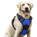 rabbitgoo Dog Harness Large Dog No Pull Pet Harness with 2 Leash Clips, Adjustable Soft Padded Pet Vest, Reflective No-Choke with Easy Control Handle for Training or Walking, Blue, L