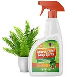 Insecticidal Soap Spray for Plants 500ml – Natural Pest Control for Indoor & Outdoor Use – Kills Aphids, Spider Mites, Whiteflies and More – Natural Insecticide for Houseplants, Vegetables and Gardens