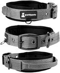 SparklyPets Heavy Duty Dog Collar with Handle for Medium and Large Dogs – Professional Collar with Reflective Stitches, Soft Handle & Nickel-Plated Buckle (Large (18"~22"), Gray)