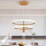 ORANOOR Modern LED Gold Chandelier 