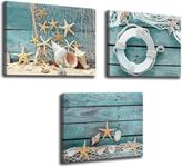 Biuteawal- 3 Piece Canvas Wall Art Starfish Shell on Teal Board Painting Prints Beach Nature Picture Canvas Artwork for Home Kitchen Bathroom Living Room Wall Decor Ready to Hang