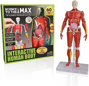 Science to The Max, Interactive Human Body Science Kit, Learn About Skeletal Muscular and Organ Systems, Ages 8+