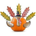 ALLADINBOX Thanksgiving Pumpkin Turkey Making Kit, Turkey Decor Kit, Autumn Fall Harvest Decoration for Thanksgiving Home Outdoor Indoor Decor Gift