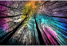 Bgraamiens Puzzle-Forest Under Starry Night-1000 Pieces Creative Color and Lines Jigsaw Puzzle Color Challenge Puzzle