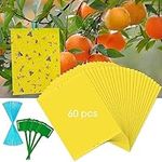 60 Pack Yellow Sticky Traps for Gna