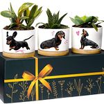 Dachshund Planters, Dachshund Gifts for Women & Men, Premium Quality Dog Lover Gifts, Weiner Dog Gifts for Women, Daschund Gifts for Women, Great Gift for Dachsund Lover, Dachshund Planter Gift Set