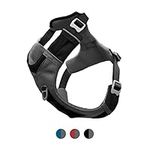 Kurgo Journey Air Harness, Dog Harness for Running and Walking, Lightweight, Breathable, Small-Black