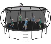 Lavay 8FT Tranpoline with Basketball Hoop, Ladder, Wind Stakes for Adults and Kids Recreational Tranpoline, Outdoor Heavy Duty Tranpoline, ASTM CPC CPSIA Approved