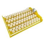 Eggs Incubator Trays | 88 Fully Aut