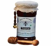 Royal Bee Brothers | Tropical Forest Honey | Produce of Rainforest Wild Flora | Harvested from Wild Honey Bee Hive | 100% Natural Raw Unprocessed | 500 GM - Glass Bottle