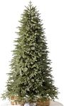 Balsam Hill Stratford Spruce - Slim