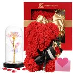 Rose Bear Lady's, Flower Rose Bear, Glass Dome Rose Lamp Perfect Romantic Gift for Wife Daughter Girlfriend Anniversary Mother's Day Valentine's Day Gift Christmas Surprise