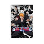 Bleach Posters