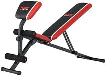 York Fitness Warrior 2 in 1 Dumbbell and Ab Bench with Arm Curl Pad