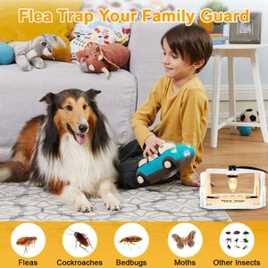 DAJILI Flea Trap 2-Pack – Indoor Pest Control Traps