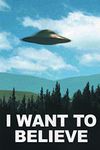 The X-Files (I Want to Believe) TV Poster Print - 24x36