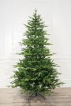 5 Foot Acadian Forest Fir Christmas Tree, Pre-lit (5ft Pre-lit)