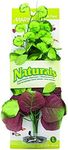 Marina Naturals, Pennywort Silk Plant, Large Fish Tank Decoration, PP103